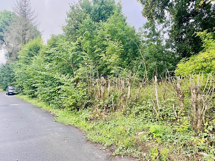 Grundstück zum Kauf, 2.552 m² (7 von 12)