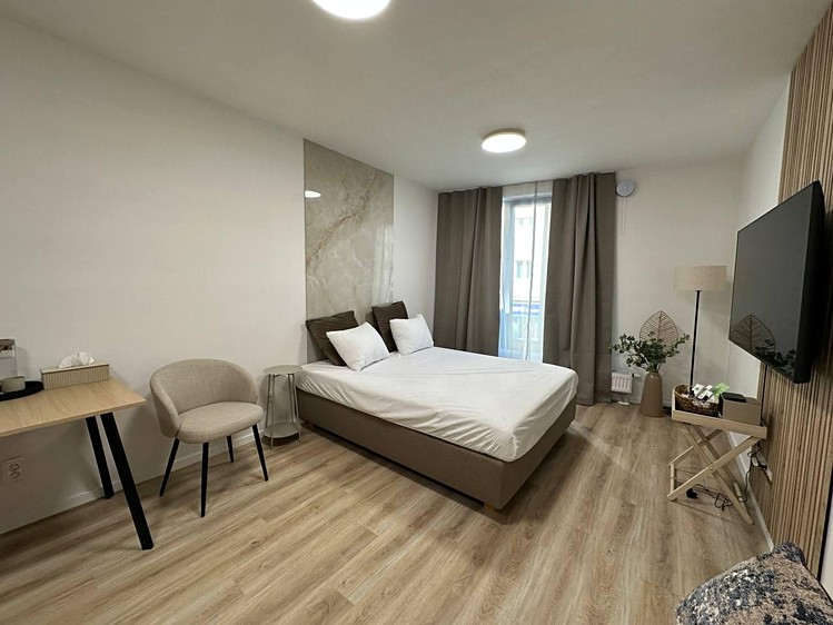 Pronájem bytu 1+kk, 26 m² (1 z 7)