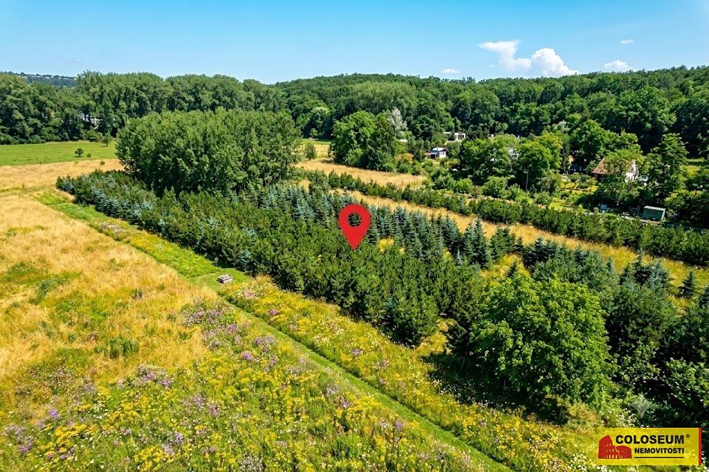 Prodej pole 2970 m² – fotografie 2