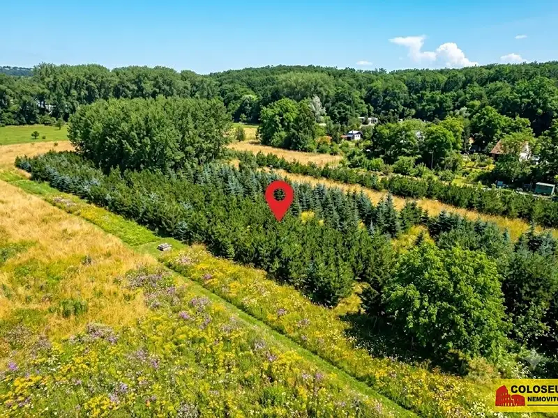 Prodej pole 2970 m², Znojmo – náhled fotky 2