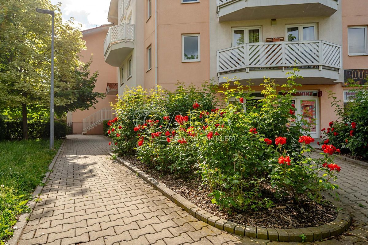 Prodej bytu 2+kk 59 m² – fotografie 3