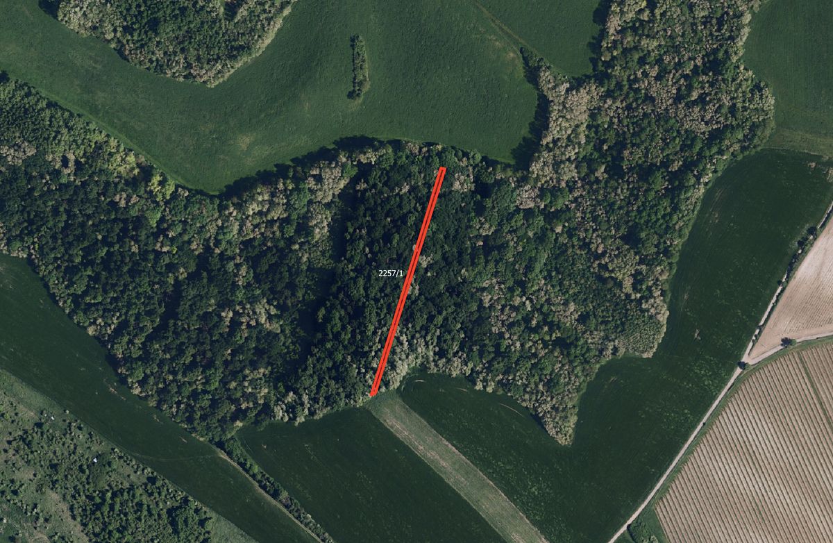 Prodej pole 6238 m² – fotografie 2