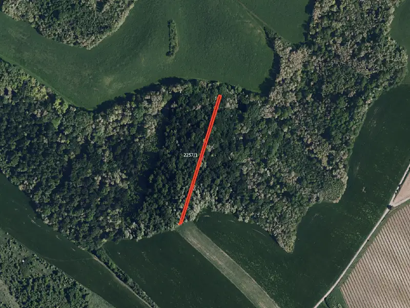 Prodej pole 6238 m², Křepice – náhled fotky 2