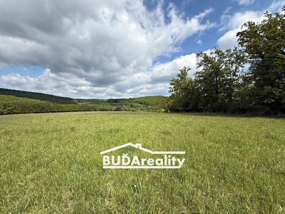 Prodej pole 15000 m²