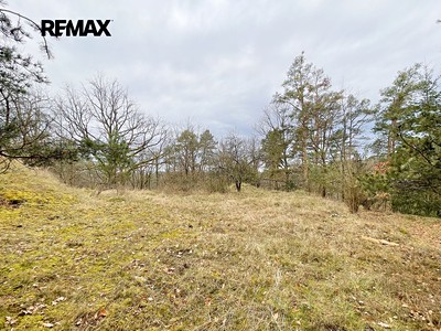 Ділянка на продаж, 2 467 м² (2 з 21)