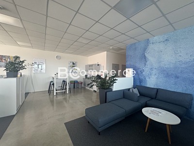 Pronájem kanceláře 146 m²