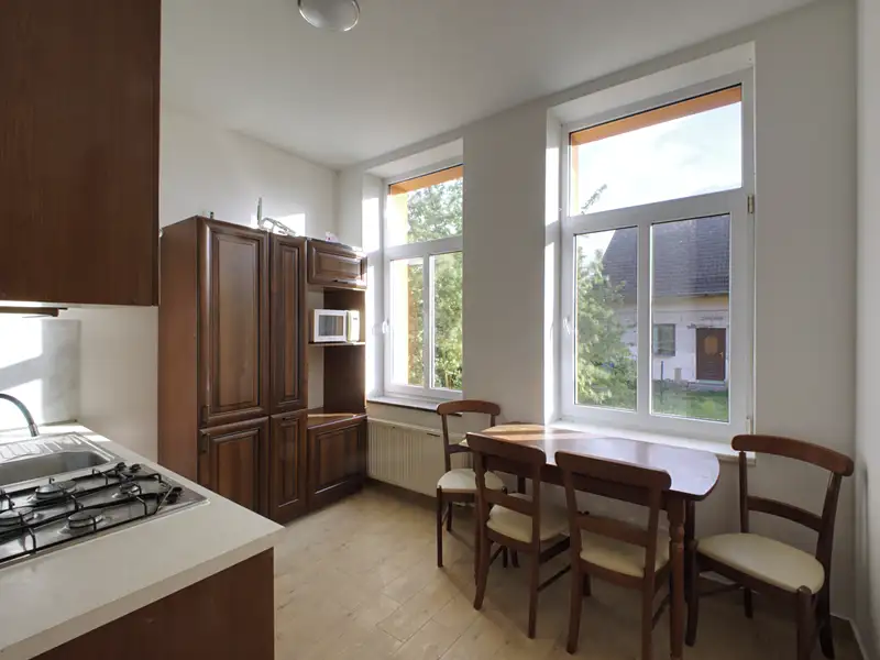 Pronájem bytu 2+1 44 m², Líně – náhled fotky 3