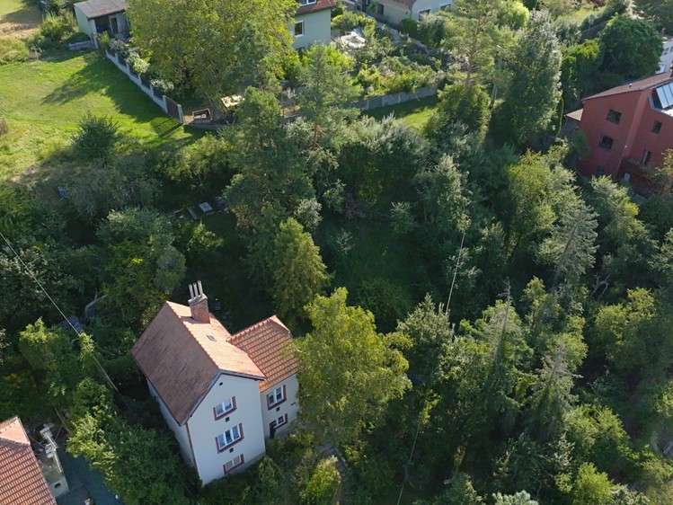 Ostatní