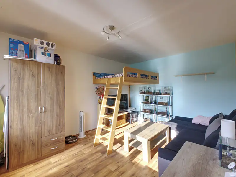 Pronájem bytu 1+1 37 m², Plzeň – náhled fotky 2