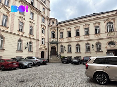 Pronájem komerčního prostoru, 316 m² (2 z 11)