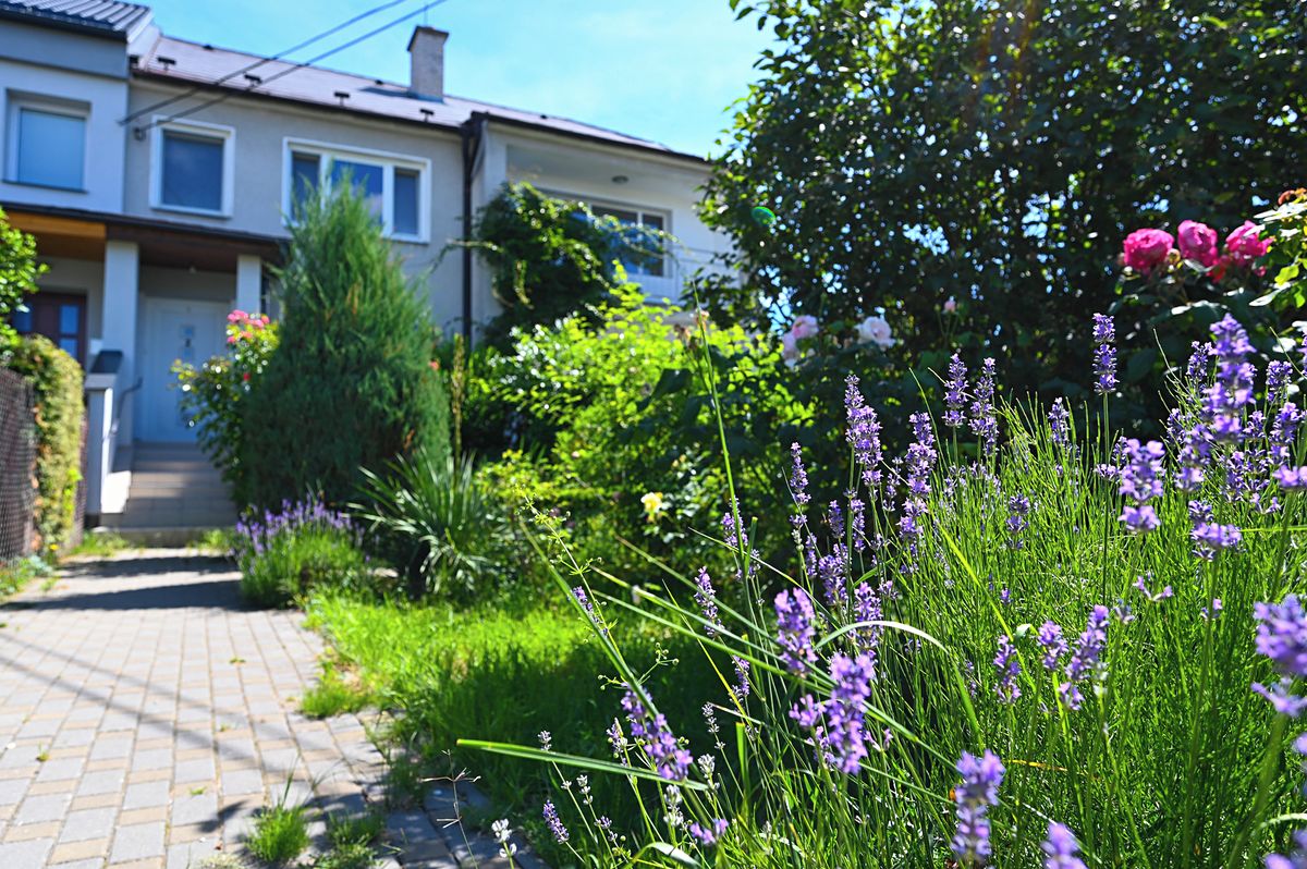 Prodej rodinného domu 226 m², pozemek 795 m² – fotografie 2