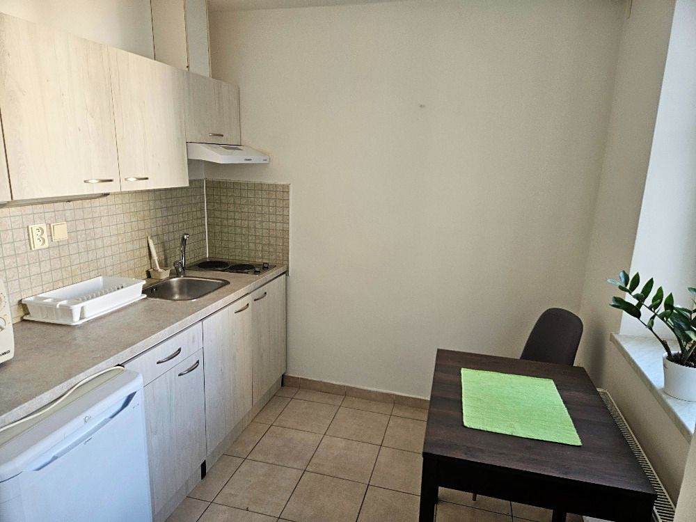 Pronájem bytu 1+1 35 m² – fotografie 3