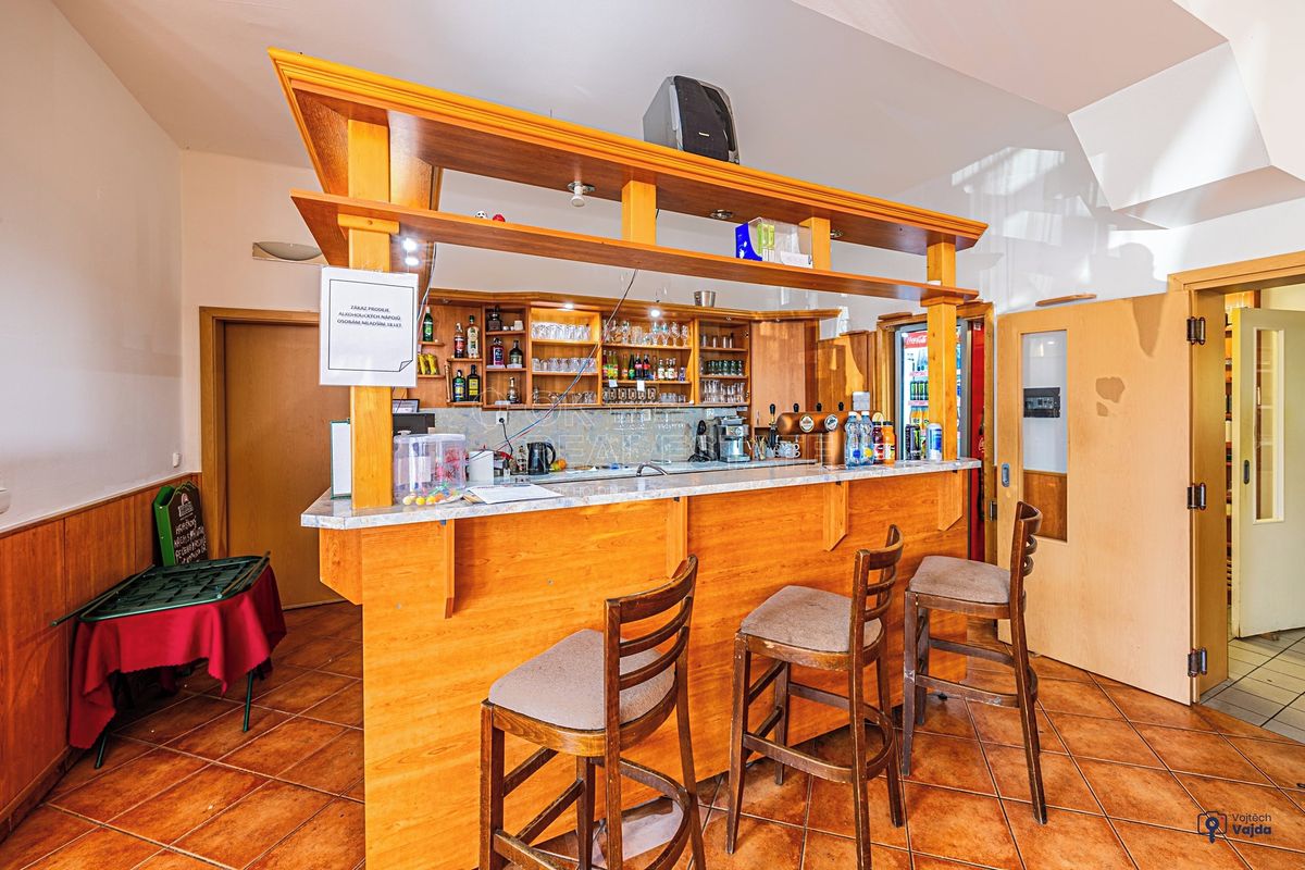 Prodej ubytovacího zařízení 540 m² – fotografie 3