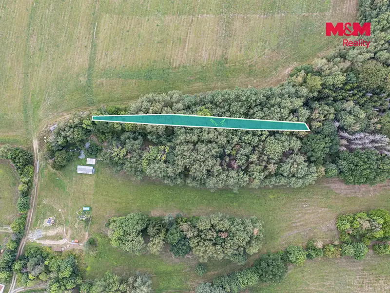 Prodej lesa 715 m², Rodná – náhled fotky 2