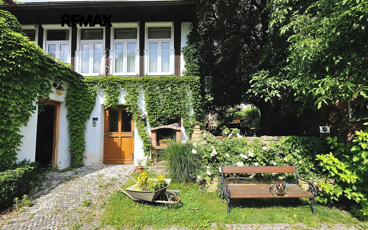 Pronájem kanceláře 46 m² – fotografie 5