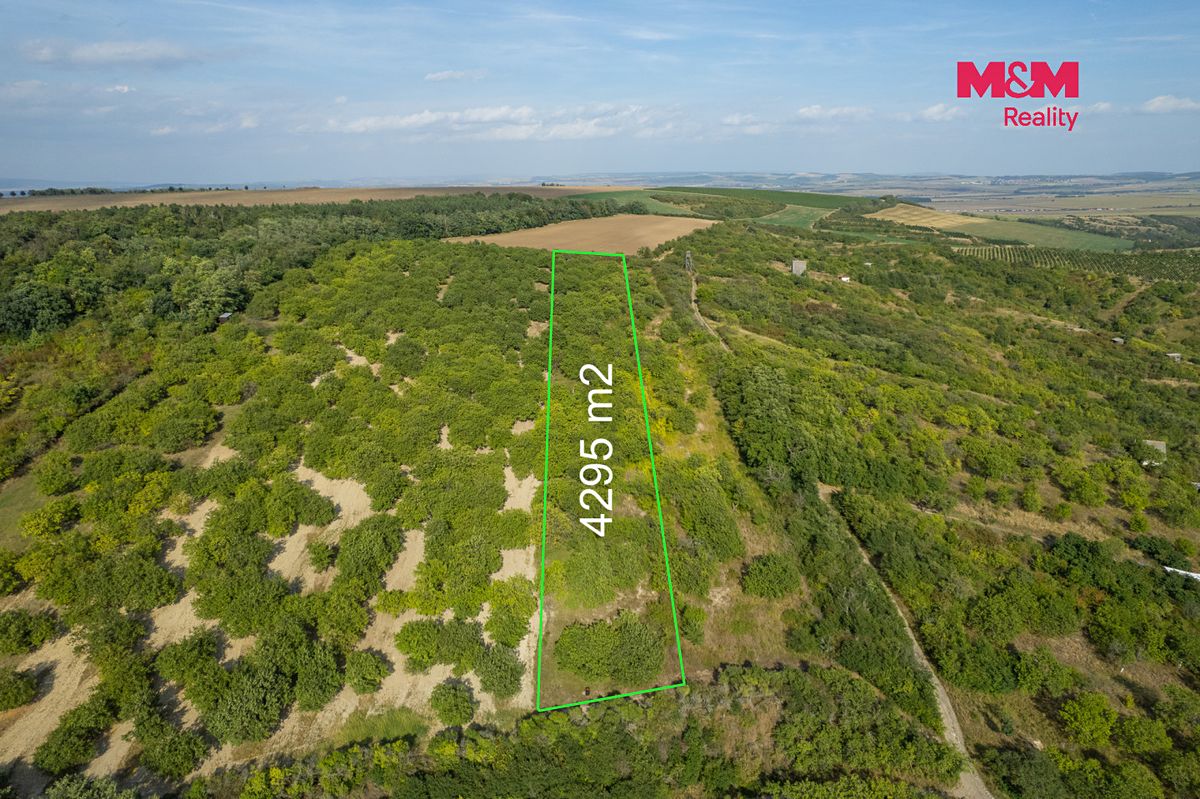 Prodej sadu, vinice 4295 m² – fotografie 3