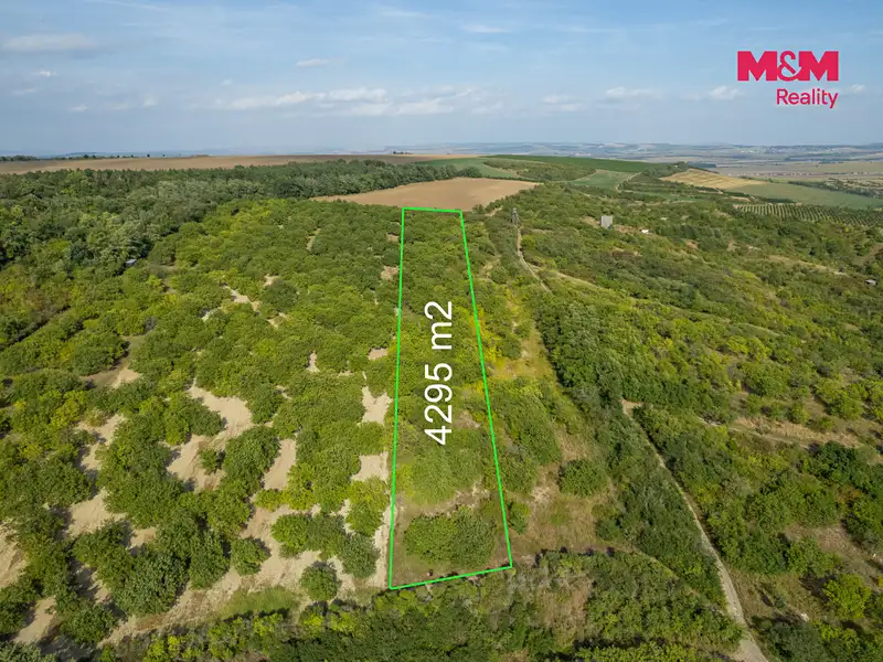 Prodej sadu, vinice 4295 m², Židlochovice – náhled fotky 3