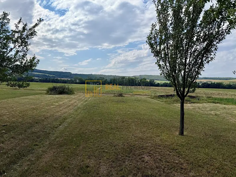 Prodej pole 8142 m², Hrubá Vrbka – náhled fotky 3