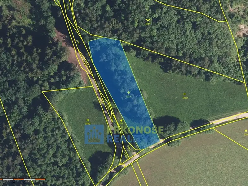 Prodej pozemku 2788 m², Černý Důl – náhled fotky 2