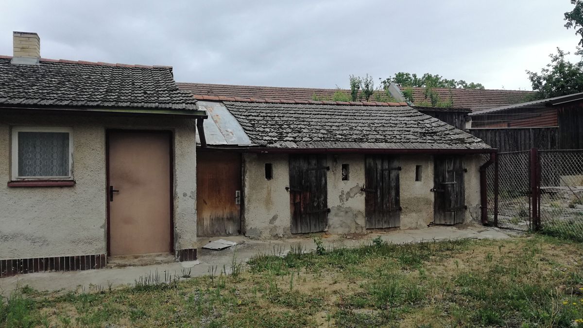 Prodej rodinného domu 110 m², pozemek 1233 m² – fotografie 4