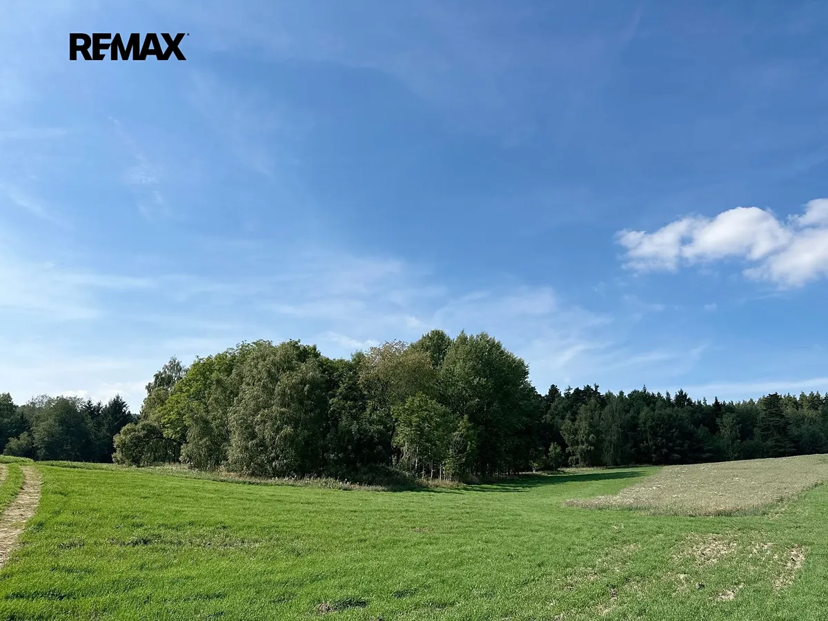 Prodej lesa 12651 m²
