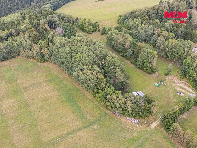 Prodej lesa 715 m², Rodná – náhled fotky 3
