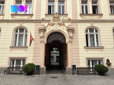 Pronájem obchodního prostoru 316 m²