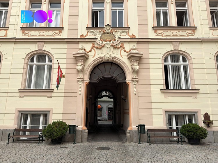 Pronájem komerčního prostoru, 316 m² (1 z 11)