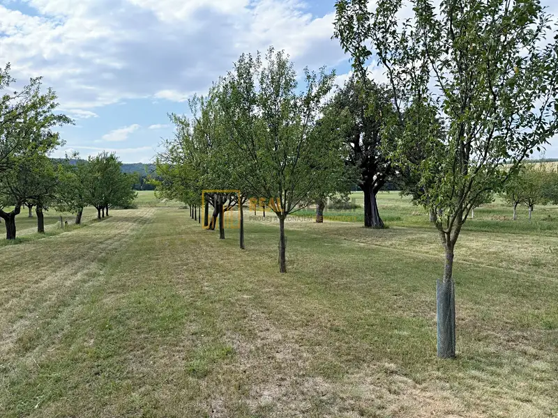 Prodej pole 8142 m², Hrubá Vrbka – náhled fotky 1