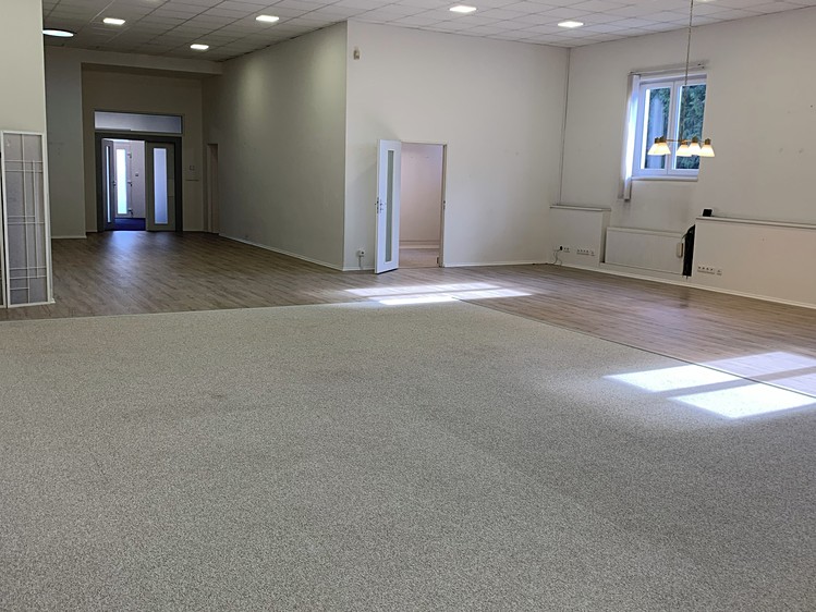 Gewerbefläche zur Miete, 228 m² (4 von 10)