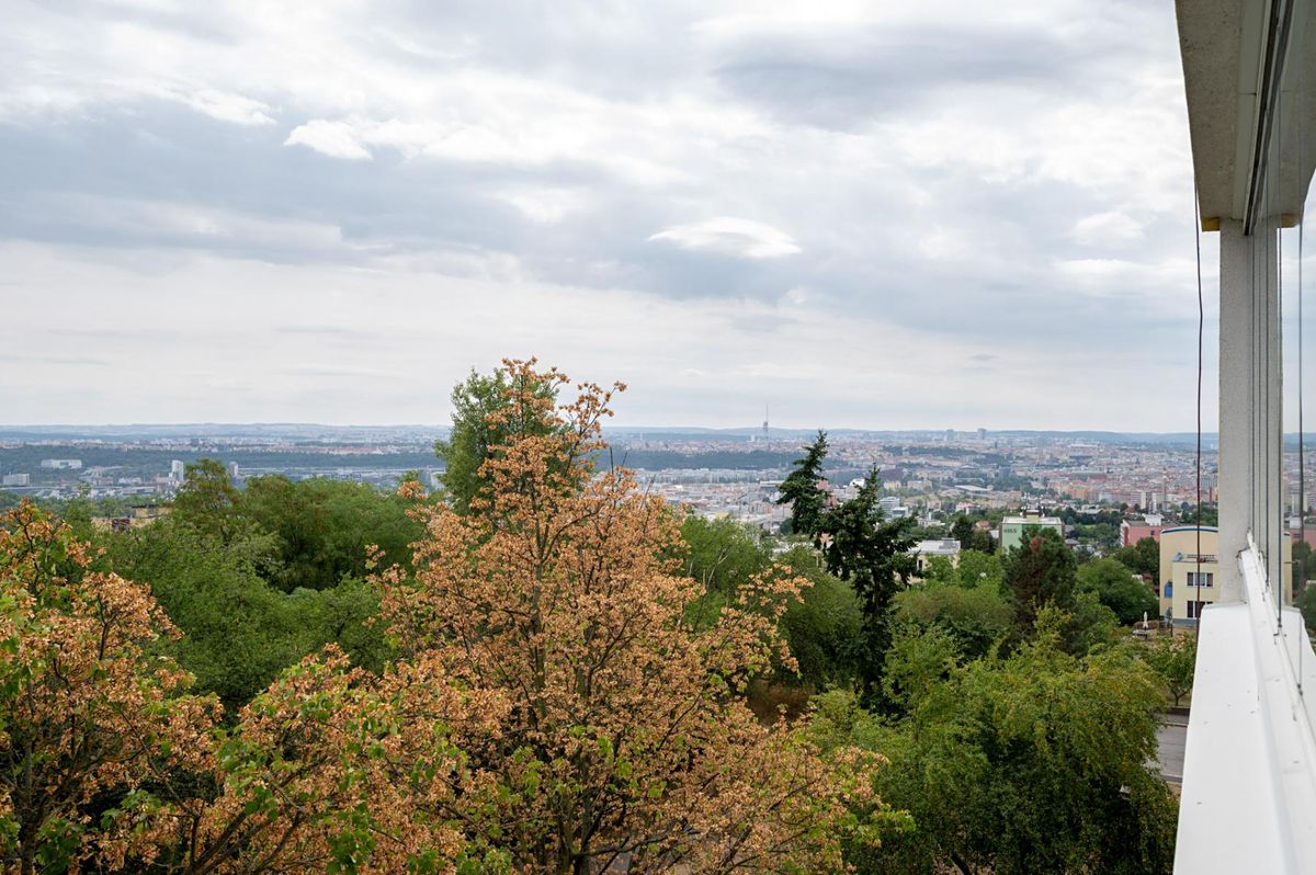 Pronájem bytu 3+1 83 m² – fotografie 4