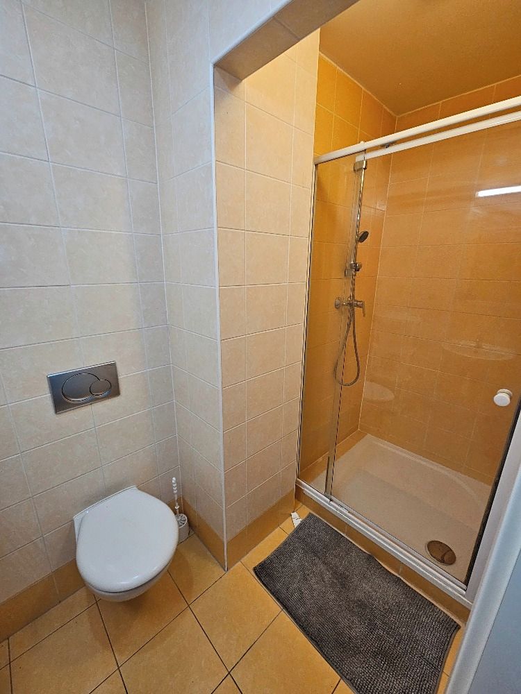 Pronájem bytu 1+1 35 m² – fotografie 5