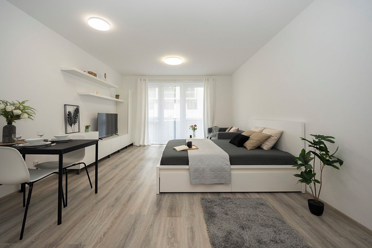 Pronájem bytu 1+kk 39 m²