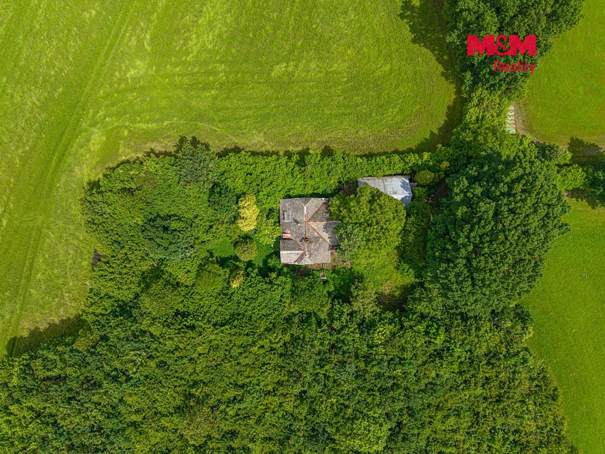 Prodej rodinného domu 300 m², pozemek 2458 m² – fotografie 3