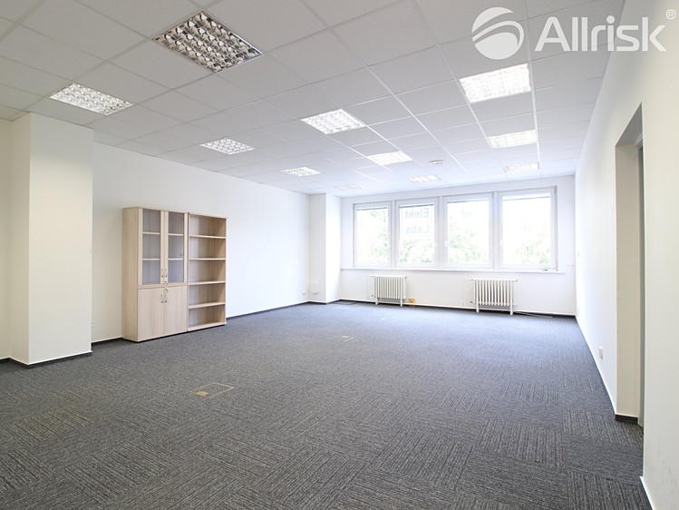 Pronájem komerčního prostoru, 105 m² (9 z 21)