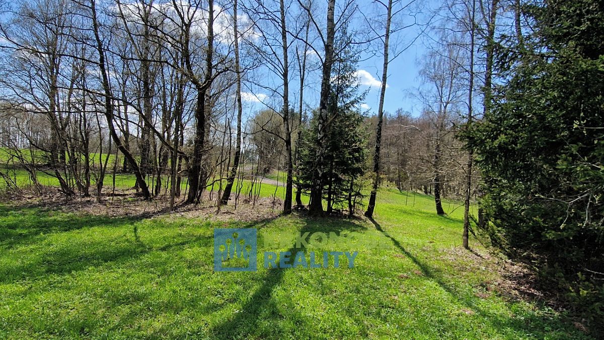 Prodej pozemku 2788 m², Černý Důl – fotka 1 z 3