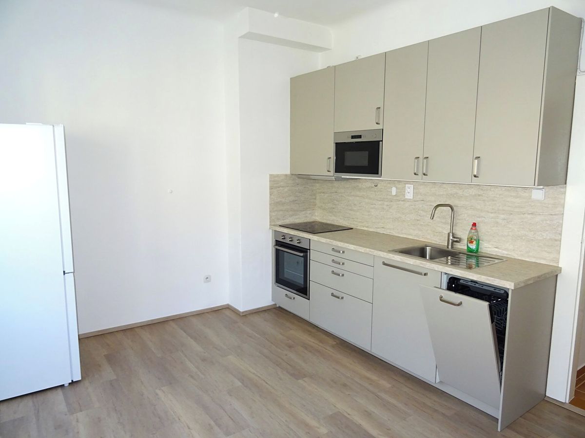 Pronájem bytu 1+1 46 m² – fotografie 2
