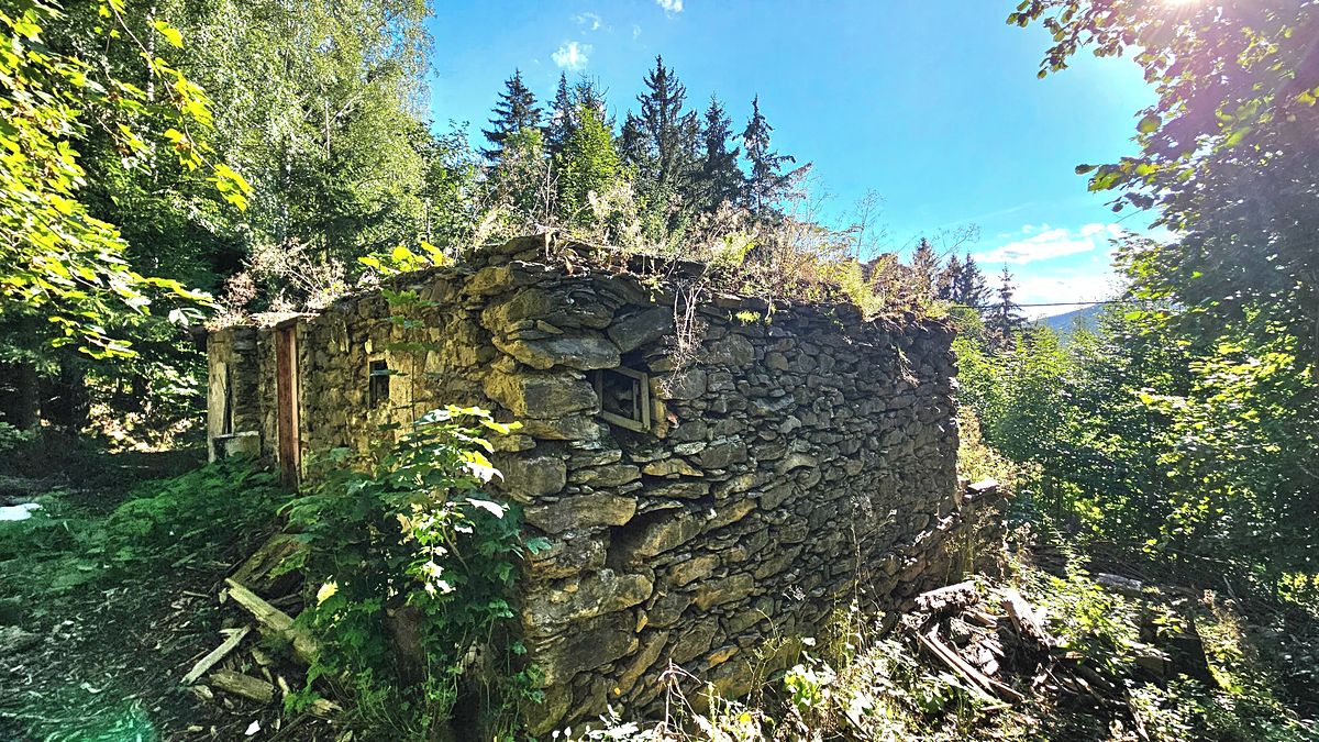 Prodej rodinného domu 300 m², pozemek 8220 m² – fotografie 2