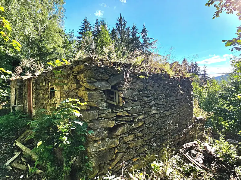 Prodej rodinného domu 300 m², pozemek 8220 m², Kořenov – náhled fotky 2