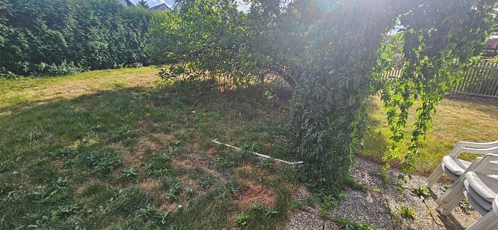 Pronájem chaty 89 m², pozemek 1465 m² – fotografie 5