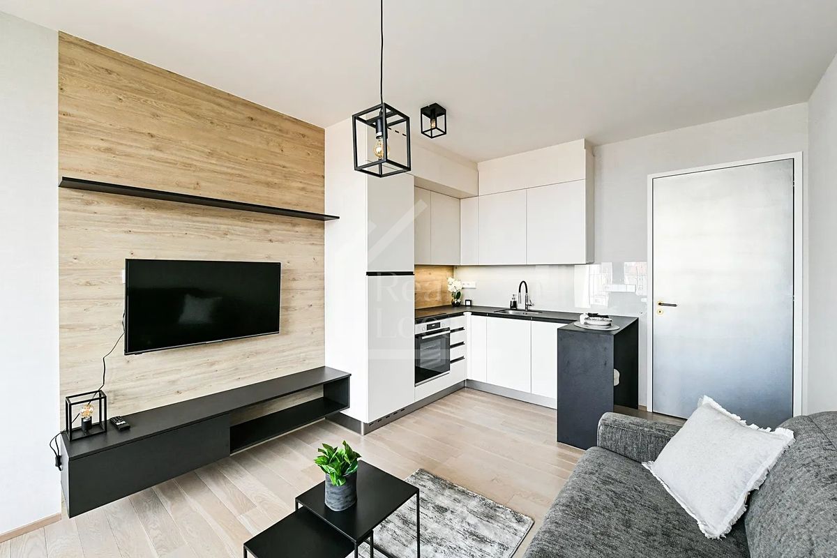 Pronájem bytu 1+kk 42 m²