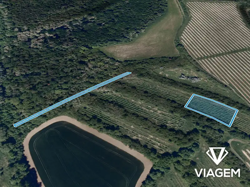Prodej pole 795 m², Žarošice – náhled fotky 2