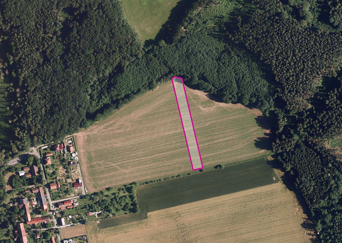 Prodej pole 21531 m² – fotografie 3