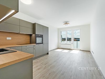 Pronájem bytu 3+kk 66 m²