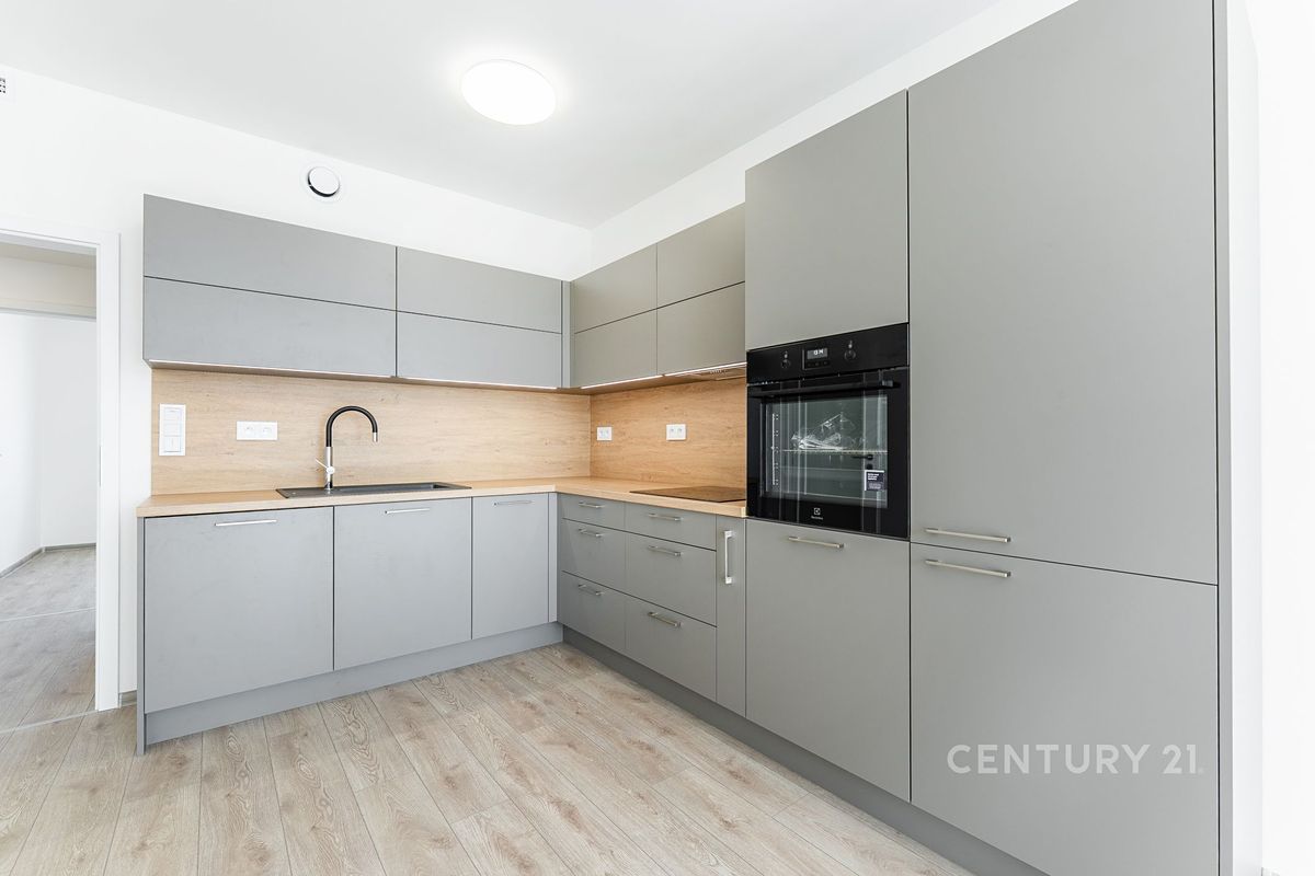 Pronájem bytu 3+kk 66 m² – fotografie 3