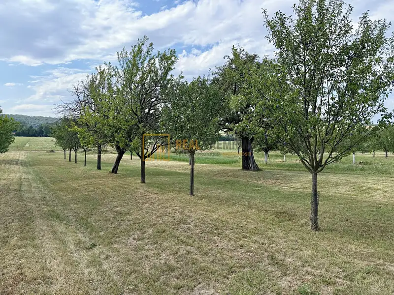 Prodej pole 8142 m², Hrubá Vrbka – náhled fotky 2