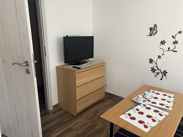 Pronájem bytu pokoje 12 m² – fotografie 4
