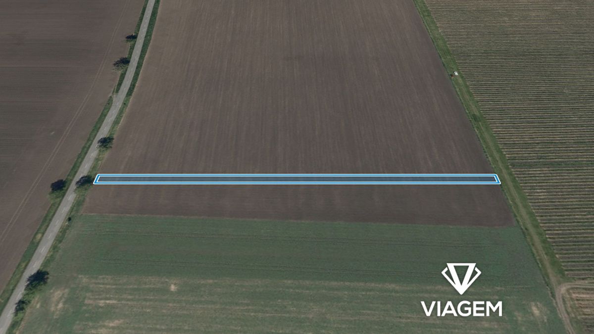 Prodej pole 1481 m² – fotografie 2