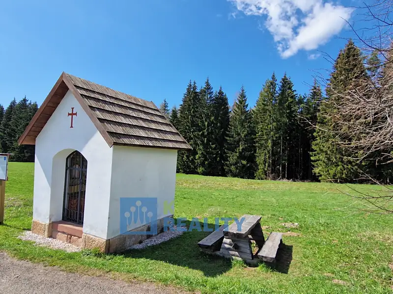 Prodej pozemku 2788 m², Černý Důl – náhled fotky 3