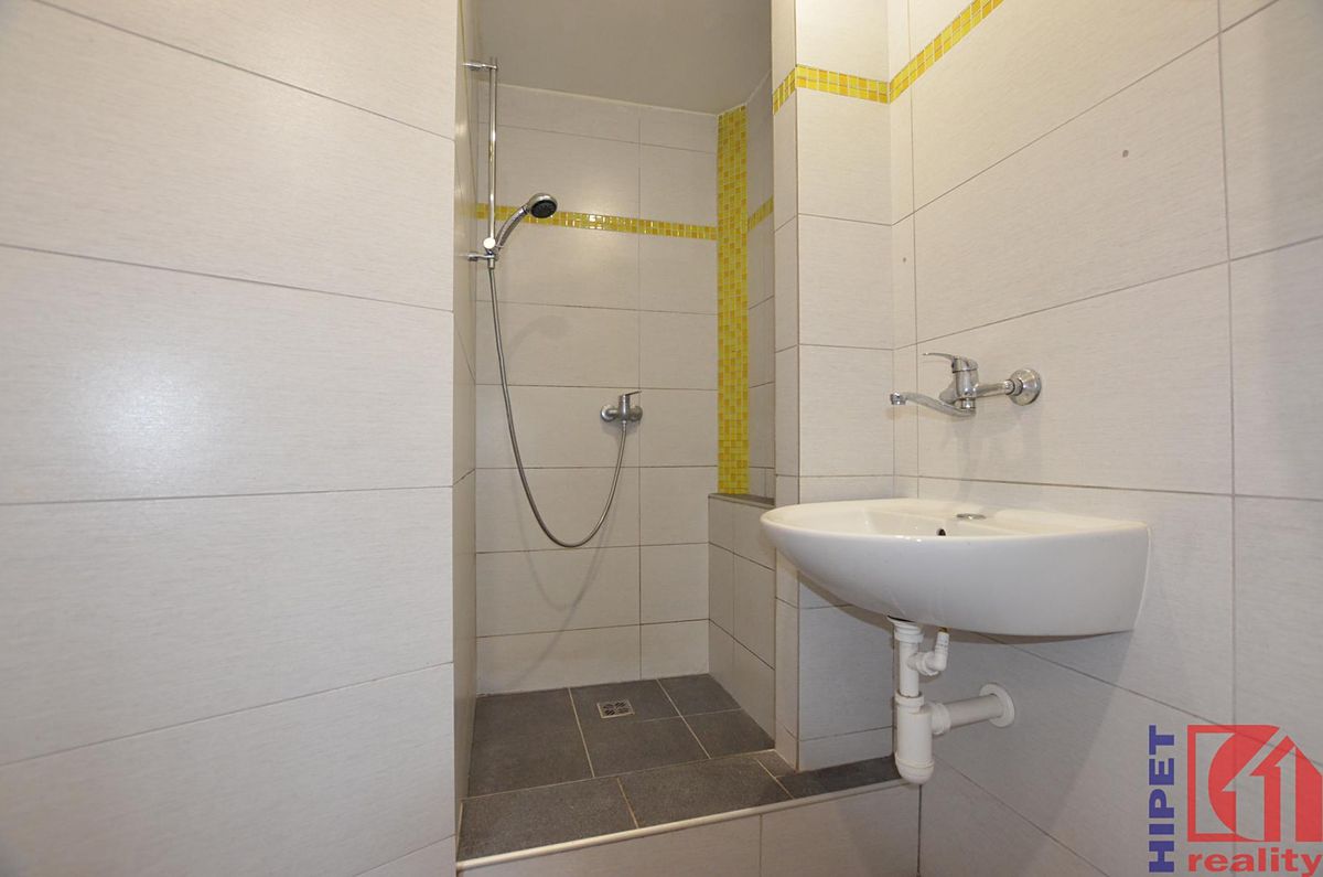 Pronájem bytu 2+1 46 m² – fotografie 5